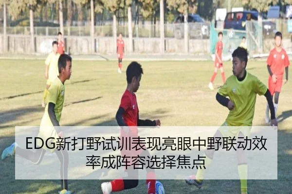 EDG新打野试训表现亮眼中野联动效率成阵容选择焦点